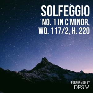 国产精品毛片在线更新
